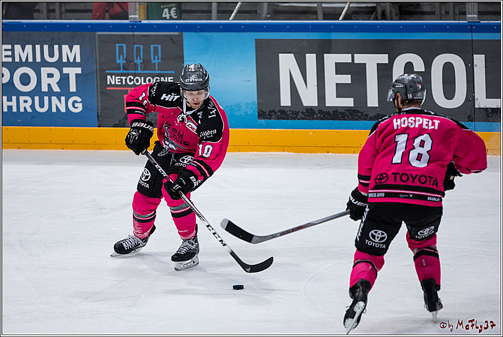 Koelner Haie - Adler Mannheim, 30.10.2016